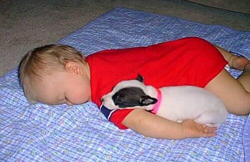 Как определить лактозную недостаточность.