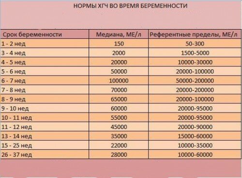 ХГЧ: типы анализов, расшифровка полученных результатов