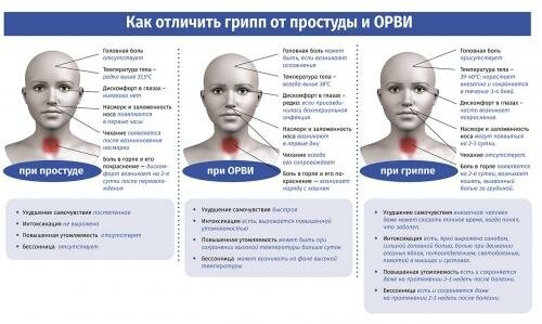 Как отличить грипп от простуды и ОРВИ?